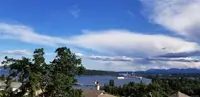 View 83