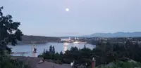 View 85