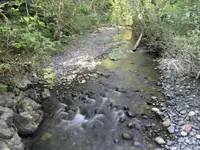 View 41