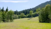 View 58