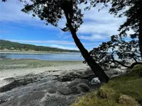 View 77
