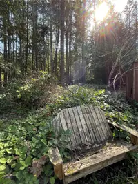 View 65