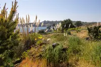 View 49