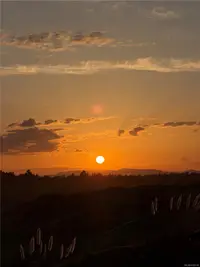 View 70
