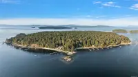 View 38