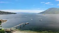 View 40