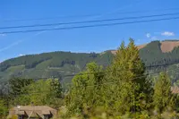 View 27