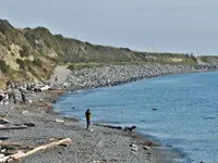 View 40