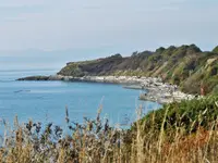 View 39