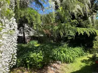 View 37