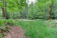 View 41