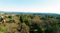 View 56