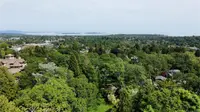 View 61
