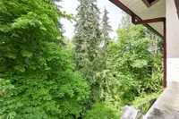 View 38