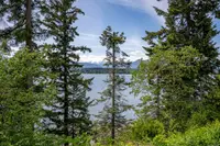View 25