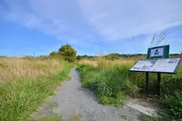 View 23