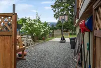 View 38