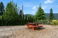 View 30