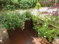 View 41
