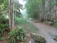 View 37