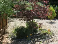 View 44