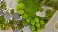 View 62
