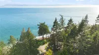 View 51