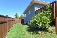 View 42