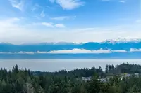View 86