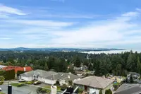View 82