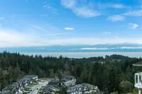 View 83