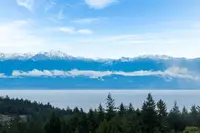 View 85