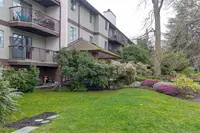 View 23