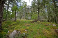 View 23