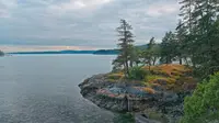 View 2