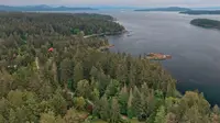 View 12