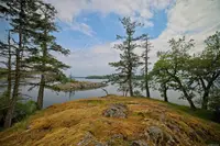 View 21