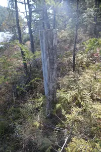 View 32