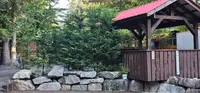 View 2