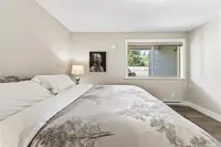 View 50