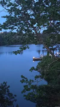 View 6