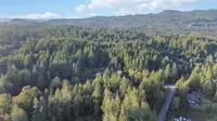 View 53