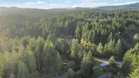 View 51