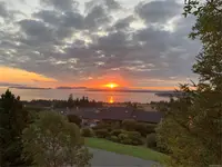 View 43