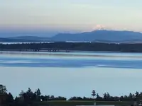 View 44
