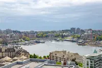 View 31