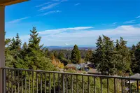 View 42