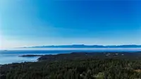 View 42