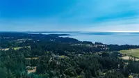 View 47