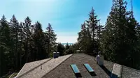 View 41